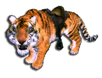 savlozuby_tygr.png